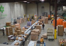 The AC Foods Legacy packing house. Overview of different citrus products that have been packed and are ready to be shipped out.