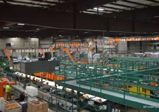 Overview of the Sumo packing line