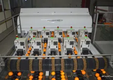 A new highly automated Navel packing line was installed this winter. It is manufactured by MAF Industries. The different boxes in the photo test for sugar and acid levels.