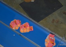 Cara Cara oranges were re-branded this season.