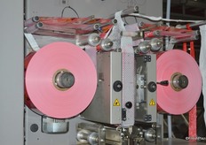 Film wrap that goes around the nets with Cara Cara oranges