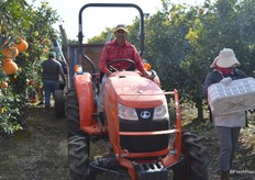 Tractor and wagon with totes