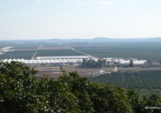 In the middle of the photo, Tree Source Citrus Nursery can be seen. The facility recently expanded. This is the Sumo tree nursery.