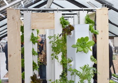 Different crops are displayed inside