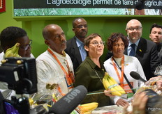 Presentation of the new banana