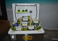 A cooler with 6-packs of limes, a new product from Earth Source Trading.