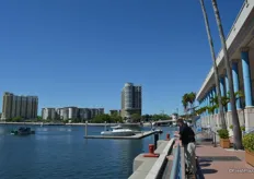 View from the Tampa Convention Center