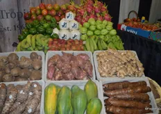 Many exotic fruit and vegetable varieties on display at the J&C booth