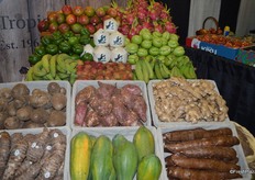 Many exotic fruit and vegetable varieties on display at the J&C booth