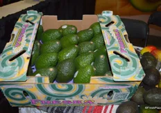 California avocados sold by Freska