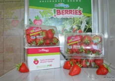 YES! Berries (Your Everyday Snack) are greenhouse- grown in Ontario, Canada.