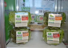 Pete's Living Greens is now available in organic: Living Organic Green and Red Butter Lettuce. Virginia Grown.