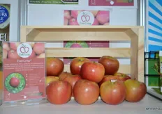 EverCrisp® is sweet and juicy, combining Honeycrisp and Fuji varieties. The durable apple arrives late in the season.
