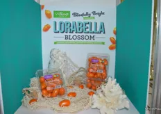 Lorabella Blossom™ tomatoes from Village Farms. An orange tomato with a blissfully bright® citrus essence. Lorabella Blossom™ is part of the San Marzano family.