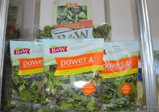 Power 4 lettuce mix from B&W brings together four leafy greens: cress, red leaf kale, baby spinach, and arugula.