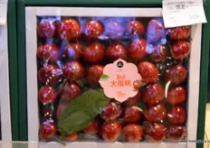 Early cherries from China's in special gift packaging.