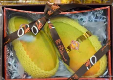 Gift packaging with two mangoes from Southern China.
