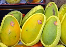 Fresh mangoes from Southern China.