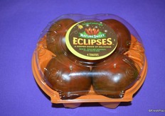 Eclipses used to be available in limited distribution, but are now going national.