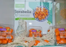 Lorabella Blossom™ tomatoes from Village Farms. An orange tomato with a blissfully bright® citrus essence. Lorabella Blossom™ is part of the San Marzano family.