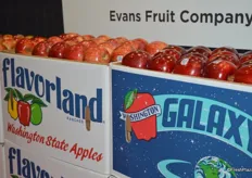 Flavorland branded Gala apples as well as Gala apples in the company's premium label Galaxy boxes.
