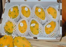 Yellow pitahayas from Ecuador