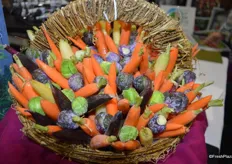 Beautiful display of different colors of carrots and Brussels sprouts from Babe Farms.