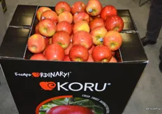 Koru apples from New Zealand arrived in North America a week ago.