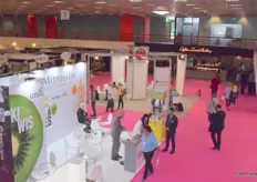 A areal view around of the Mitrosilis stand and one of the Freskon meeting points.