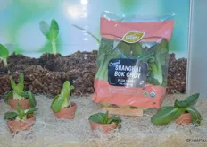 Fresh Direct presents Simply Fresh ® Asian Vegetables in a 1lb BOPP film bag: Baby Bok-Choy, Shanghai Bok- Choy, Gai-Lan and Yue-Choy.