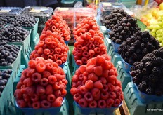 All fruit is sold by the pound.