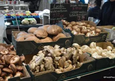 Different mushroom varieties sold in bulk by the pound.