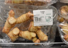 Galangal