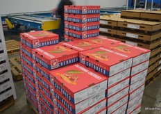 Pallets of cherries in a cold room and ready to head to the airport. They are shipped out of San Francisco and Los Angeles.