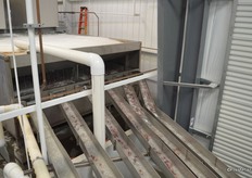 From the cluster cutter, the cherries move on to another hydrocooler.