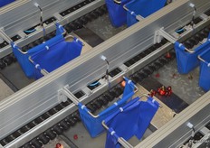 Based on the results of the photos, a little jet of air pushes the cherries into the right drop.