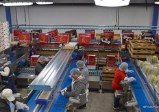 Each drop packs for a different size and destination. The Unitec line can pack for up to 24 drops at the same time.