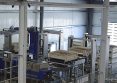 The start of the Unitec sorting line. The bins are being transported to an elevator.