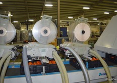 Village Farms works with equipment from Sinclair that is able to print an RSS number on the sticker. The RSS number can be scanned at the check-out stand in the store.