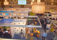 Overview of the exhibition area