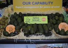 Darling Group’s avocados on the J H Leavy stand.