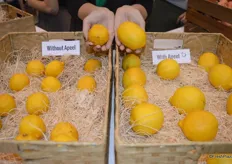 Apeel won the award for Best New Fruit Product. It's all about extending shelf-life and reducing food waste. The photo shows non-Apeel treated citrus versus citrus treated with Apeel over a 30-day period.