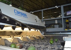 A peek in the weight bridge.