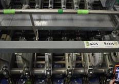 Labeling system. The right side of the photo shows how employees can differentiate the PLU stickers of organic avocados from conventional ones.