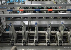 Sinclair labeling system.