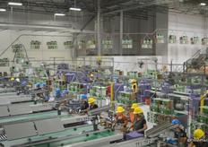 Overview of the packing house.