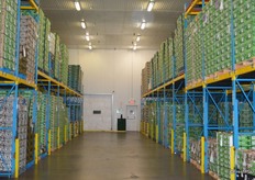 Cold room that is used for avocados that are ready to be shipped out.
