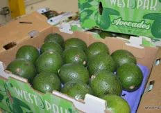 The majority of avocados packed at West Pak's facility are Hass. This however is the Reed variety.
