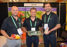 Steve Zaccardi, Nick Williamson and Stephen Cowan with Mucci Farms show organic bell peppers, a 3-pack of organic cucumbers as well as organic grape tomatoes. The purple color in the label differentiates organic products from conventional.