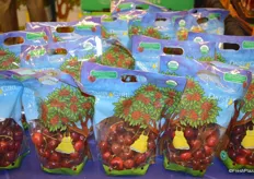 Pouch bags with organic cherries on display at CMI's booth.